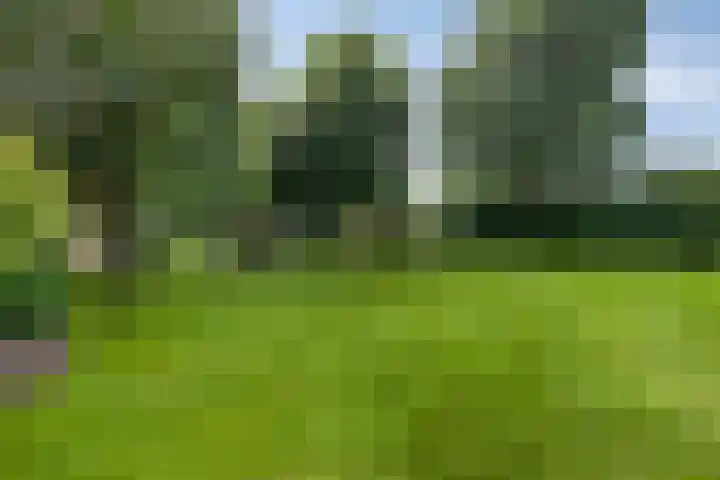 Rijksweg 19 a Schaijk thumbnail 69