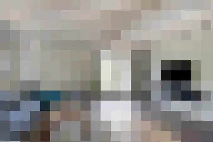 Rijksweg 19 a Schaijk thumbnail 7