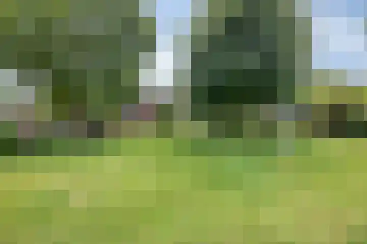 Rijksweg 19 a Schaijk thumbnail 70