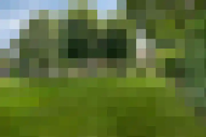 Rijksweg 19 a Schaijk thumbnail 71