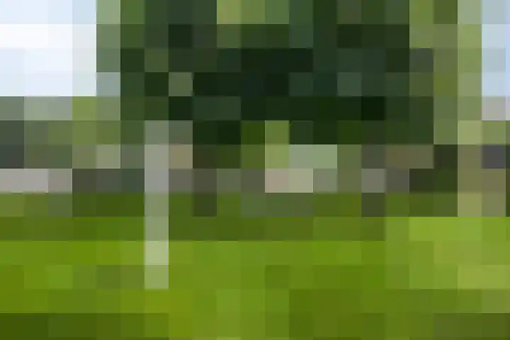 Rijksweg 19 a Schaijk thumbnail 72