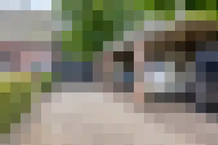 Rijksweg 19 a Schaijk thumbnail 74