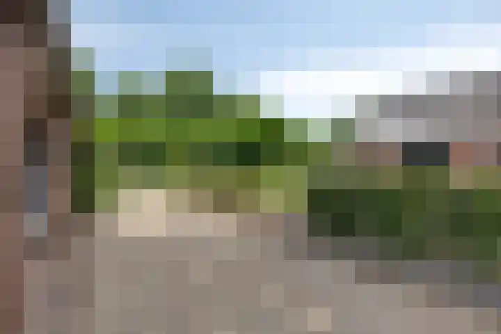 Rijksweg 19 a Schaijk thumbnail 75