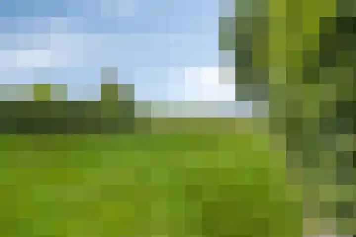 Rijksweg 19 a Schaijk thumbnail 76