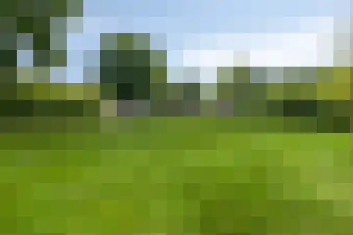 Rijksweg 19 a Schaijk thumbnail 77