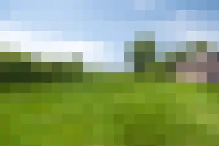 Rijksweg 19 a Schaijk thumbnail 78
