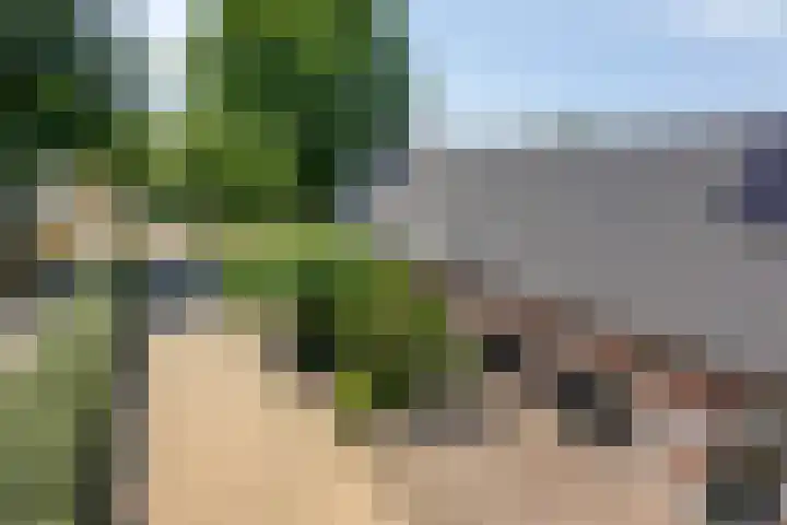 Rijksweg 19 a Schaijk thumbnail 79