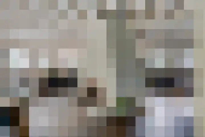 Rijksweg 19 a Schaijk thumbnail 8