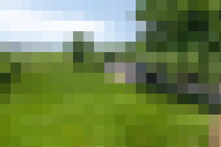 Rijksweg 19 a Schaijk thumbnail 81