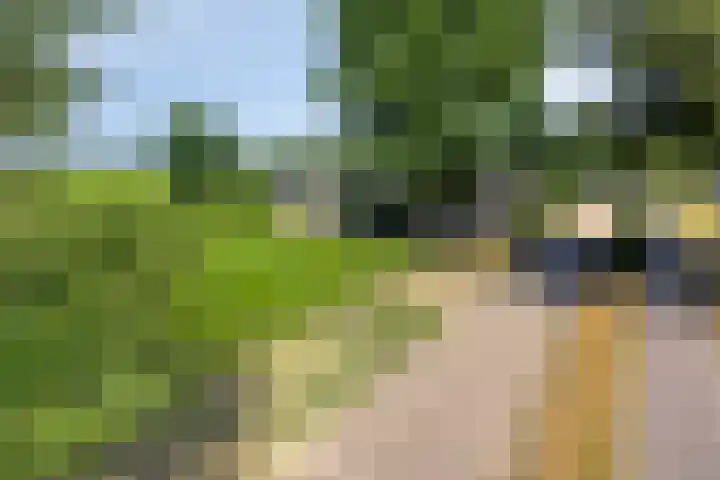 Rijksweg 19 a Schaijk thumbnail 82