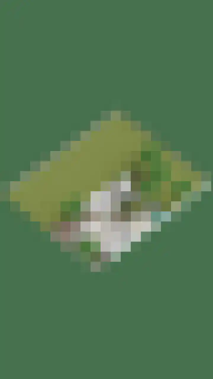 Rijksweg 19 a Schaijk thumbnail 84