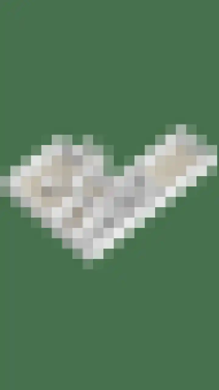 Rijksweg 19 a Schaijk thumbnail 86