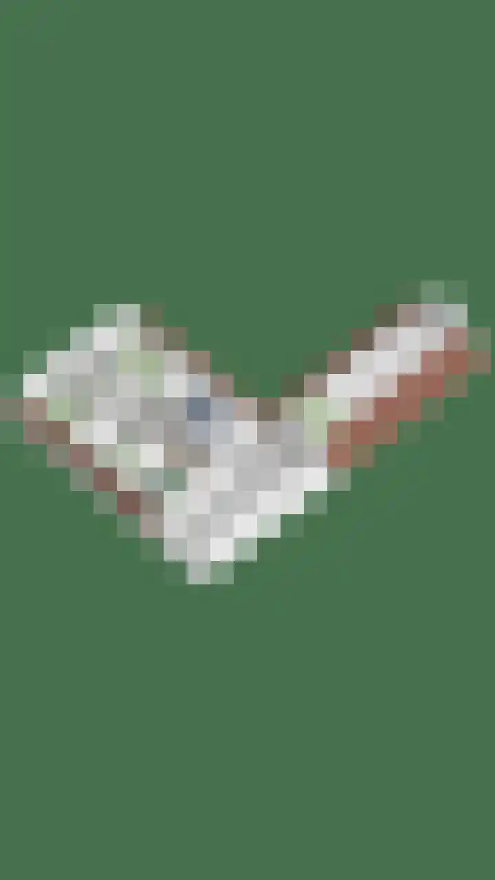 Rijksweg 19 a Schaijk thumbnail 88