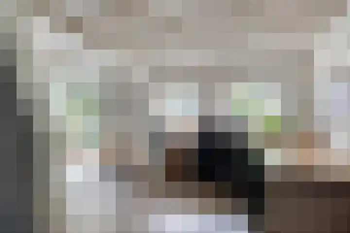 Rijksweg 19 a Schaijk thumbnail 9