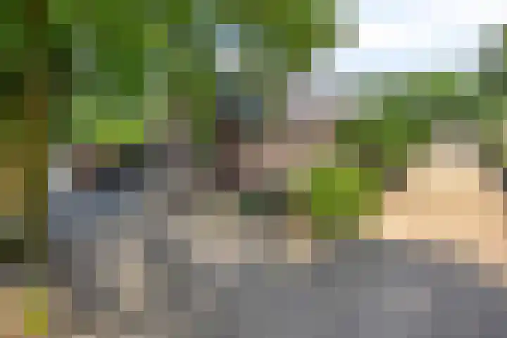 Rijksweg 19 a Schaijk thumbnail 95