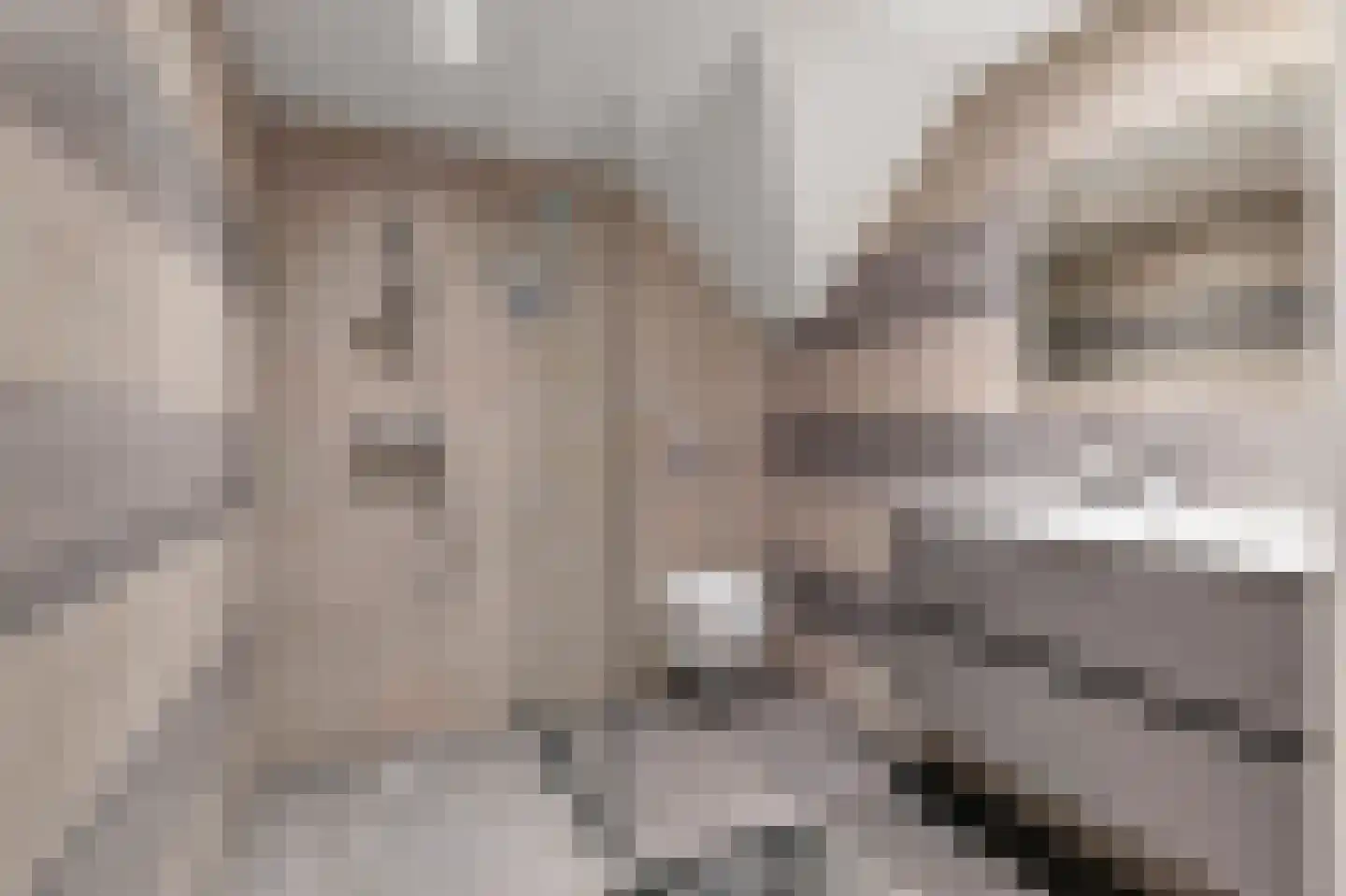 Rijksweg 193 Gronsveld thumbnail 31