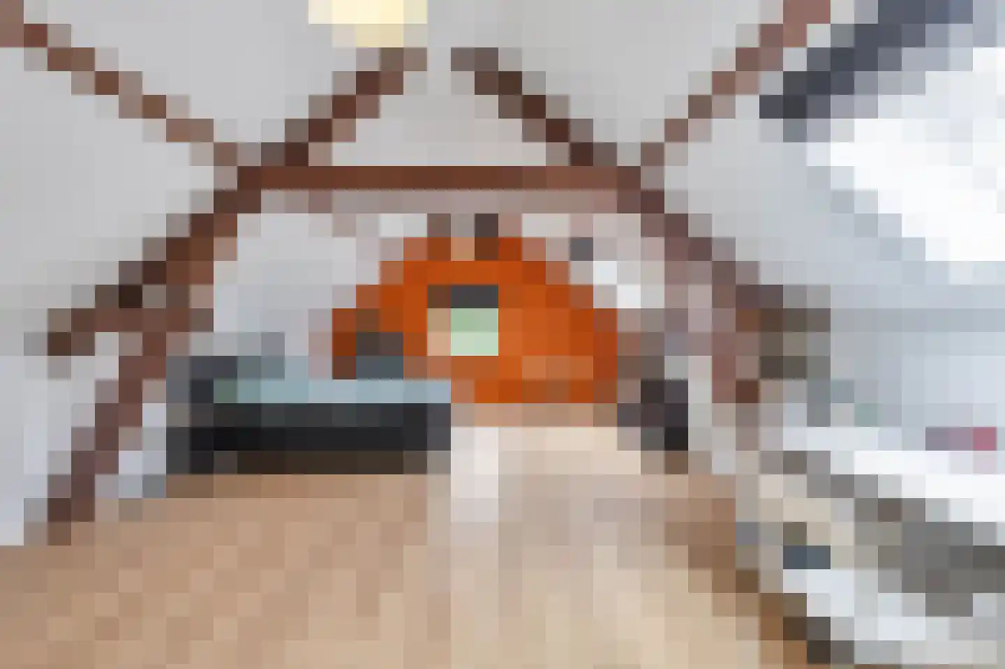 Rijksweg 193 Gronsveld thumbnail 32
