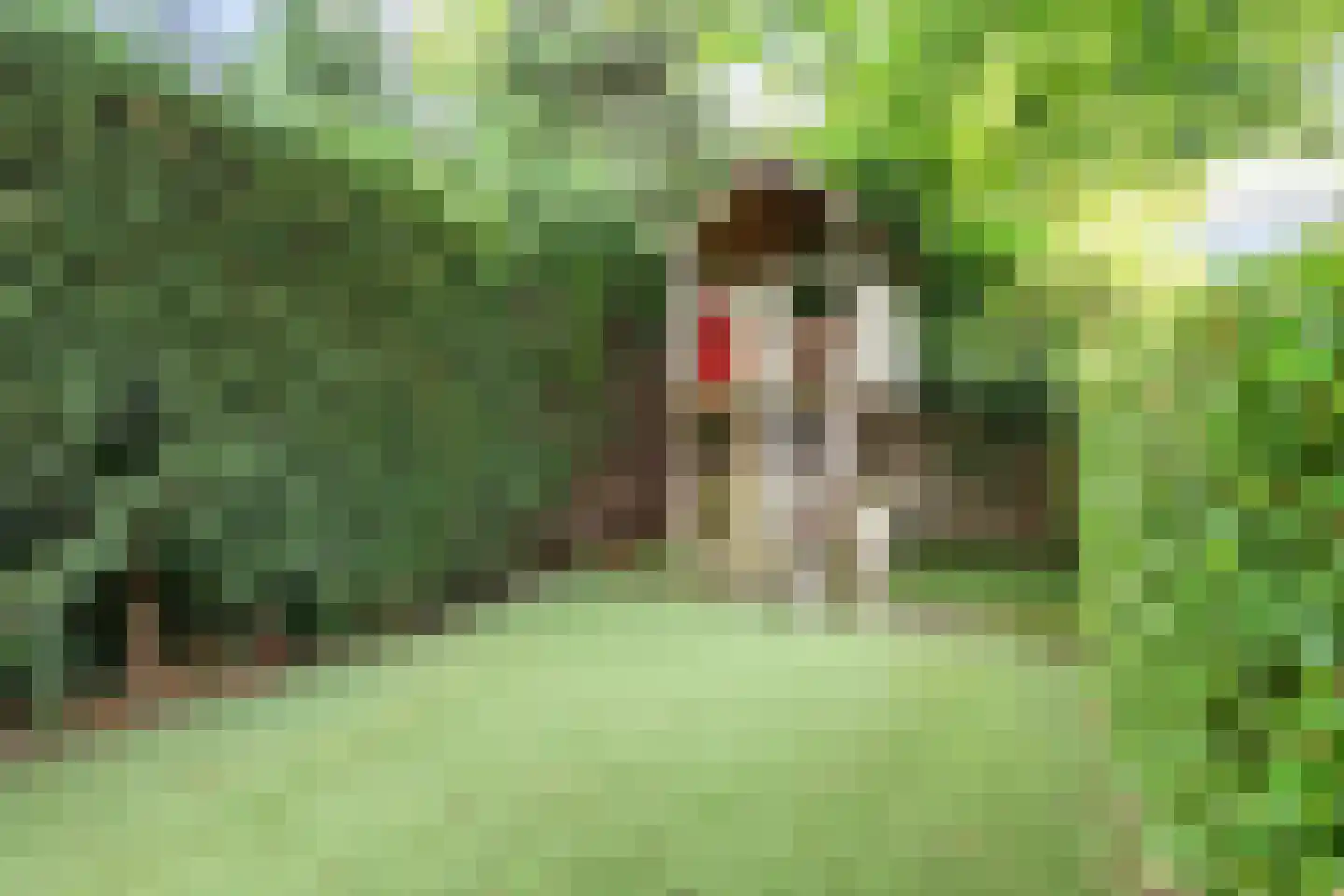 Rijksweg 193 Gronsveld thumbnail 42
