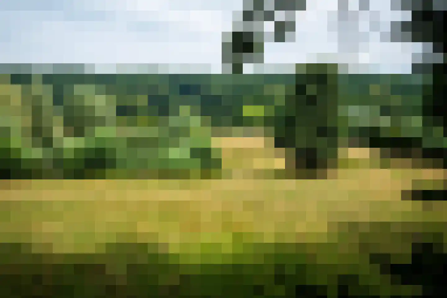 Rijksweg 193 Plasmolen thumbnail 45