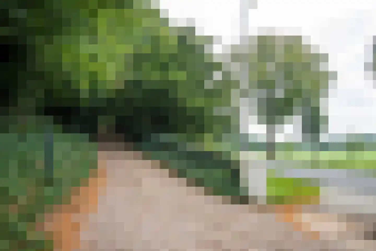 Rijksweg 193 Plasmolen thumbnail 46