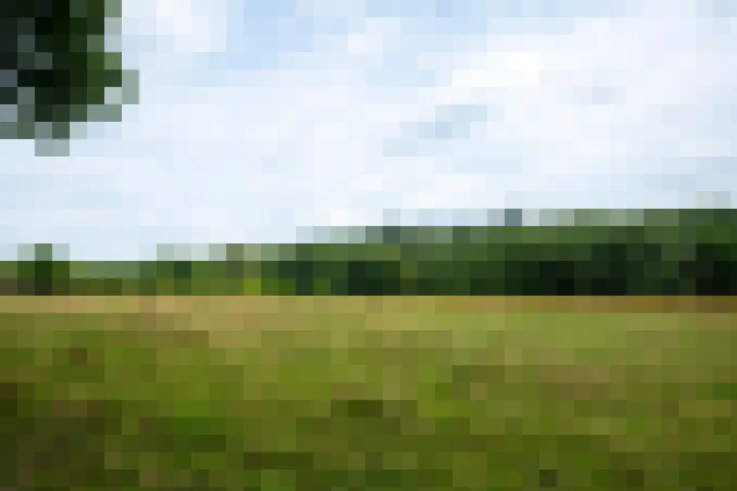 Rijksweg 193 Plasmolen thumbnail 49