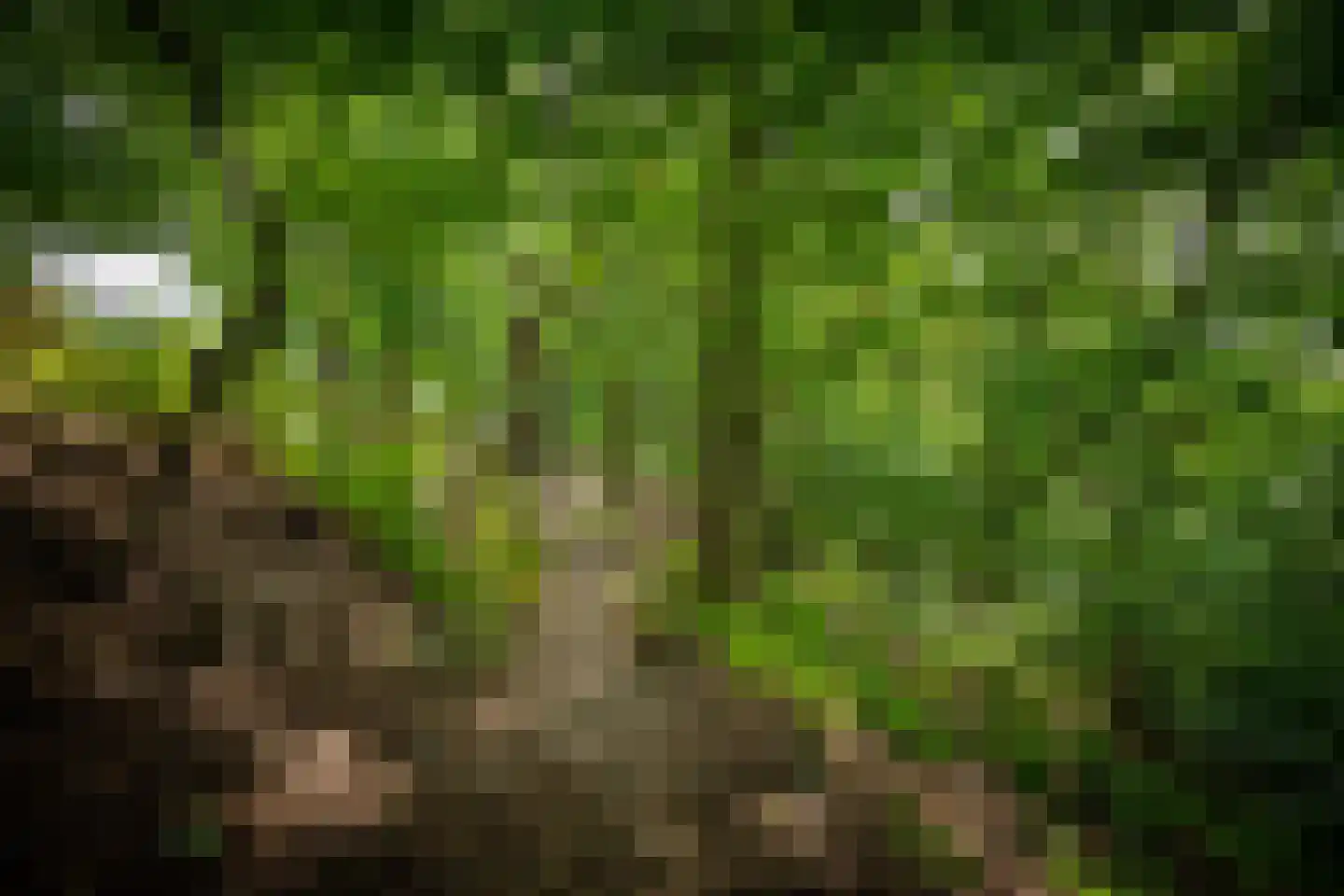 Rijksweg 193 Plasmolen thumbnail 51