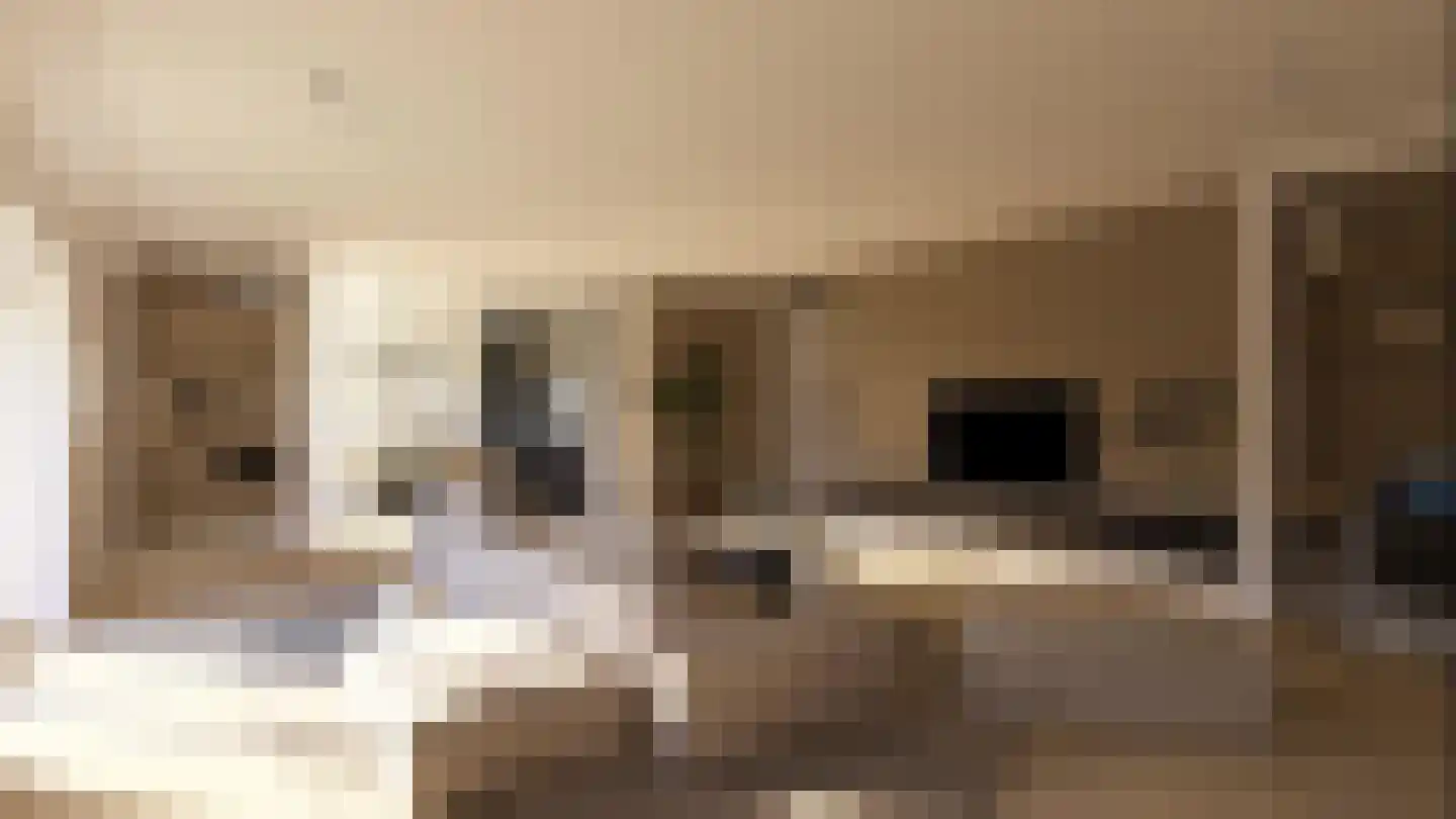 Rijksweg 2 a Staphorst thumbnail 4