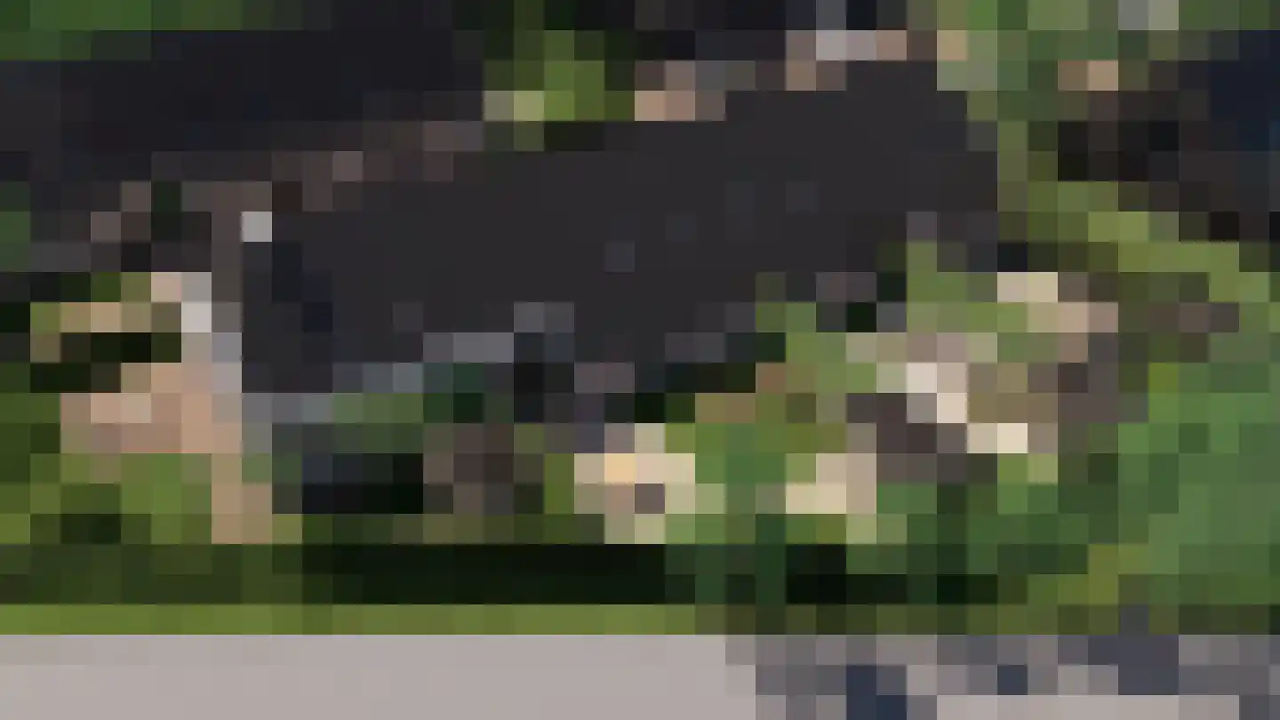 Rijksweg 2 c Staphorst foto 3