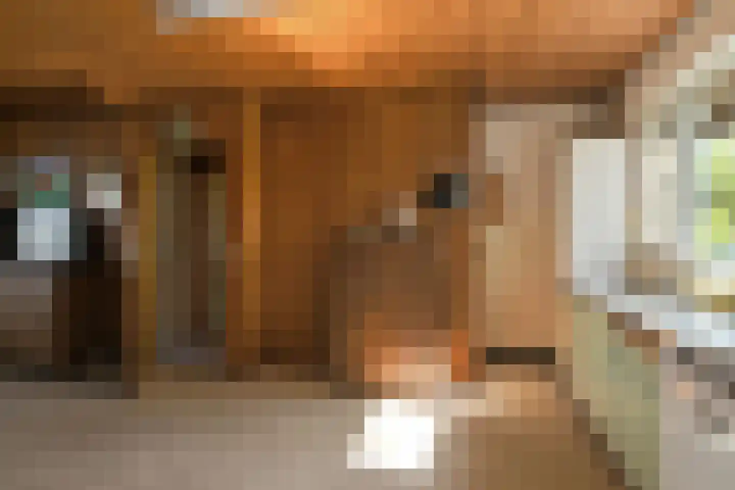Rijksweg 2 Kessel thumbnail 12