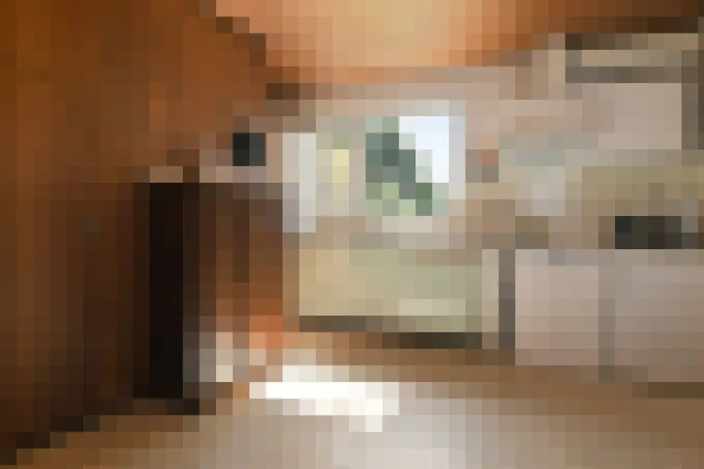 Rijksweg 2 Kessel thumbnail 15
