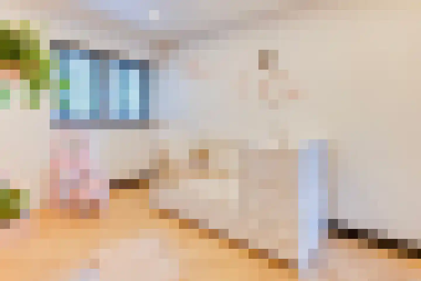 Rijksweg 2 Linne thumbnail 16