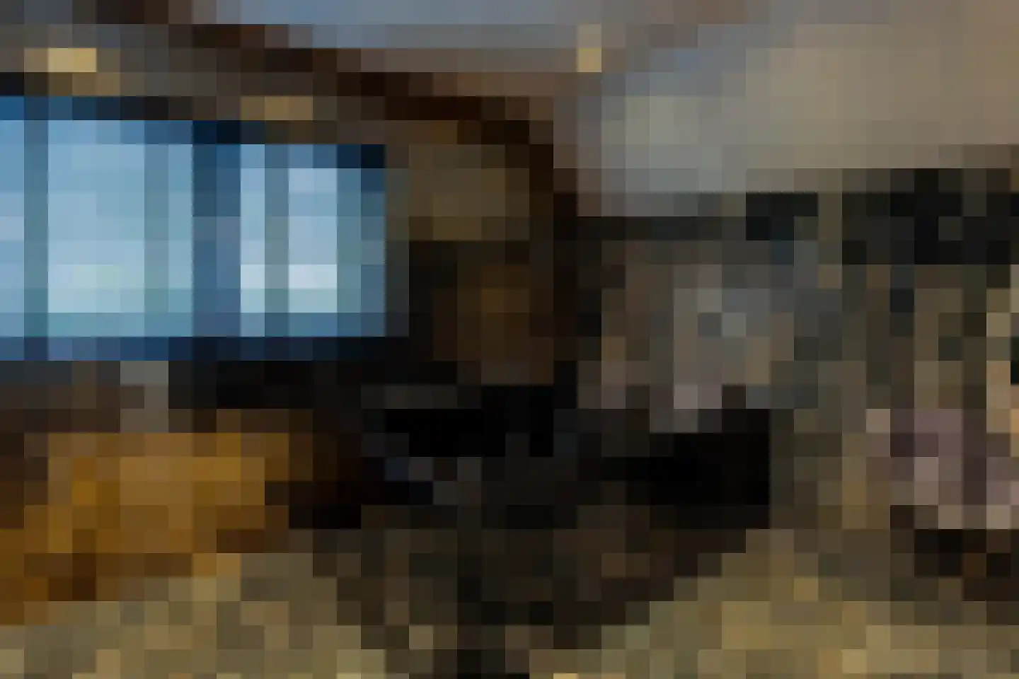 Rijksweg 2 Linne thumbnail 11