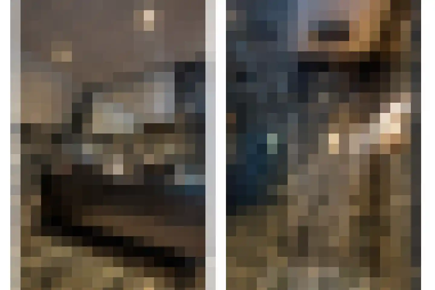 Rijksweg 2 Linne thumbnail 19