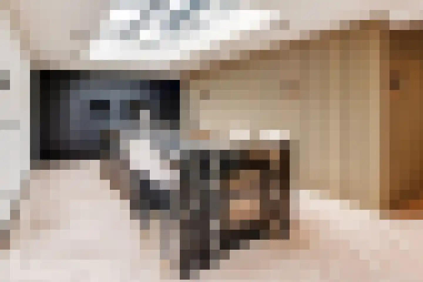 Rijksweg 2 Linne foto 2