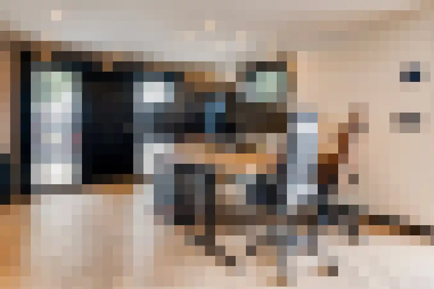Rijksweg 2 Linne thumbnail 24