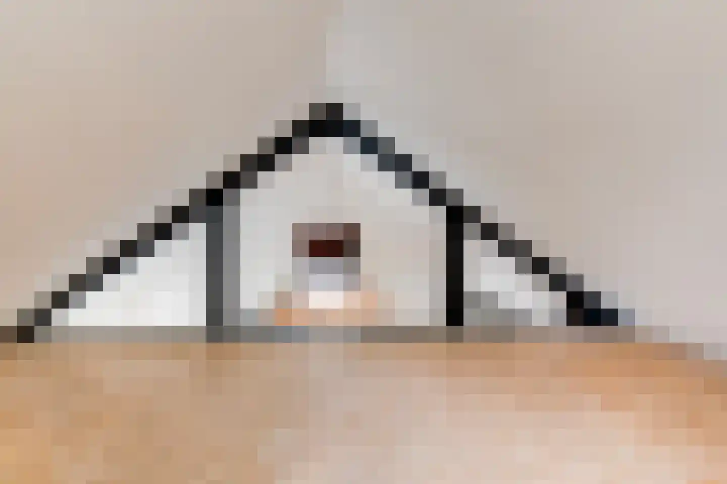 Rijksweg 2 Linne thumbnail 29