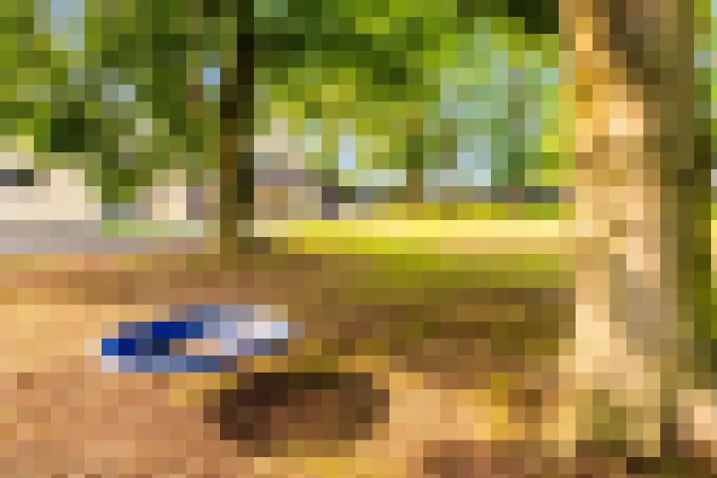 Rijksweg 2 Linne thumbnail 34