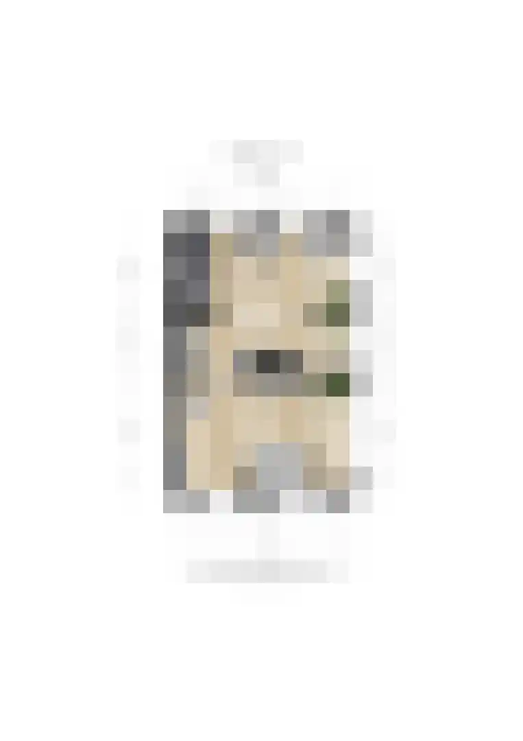 Rijksweg 2 Linne thumbnail 42