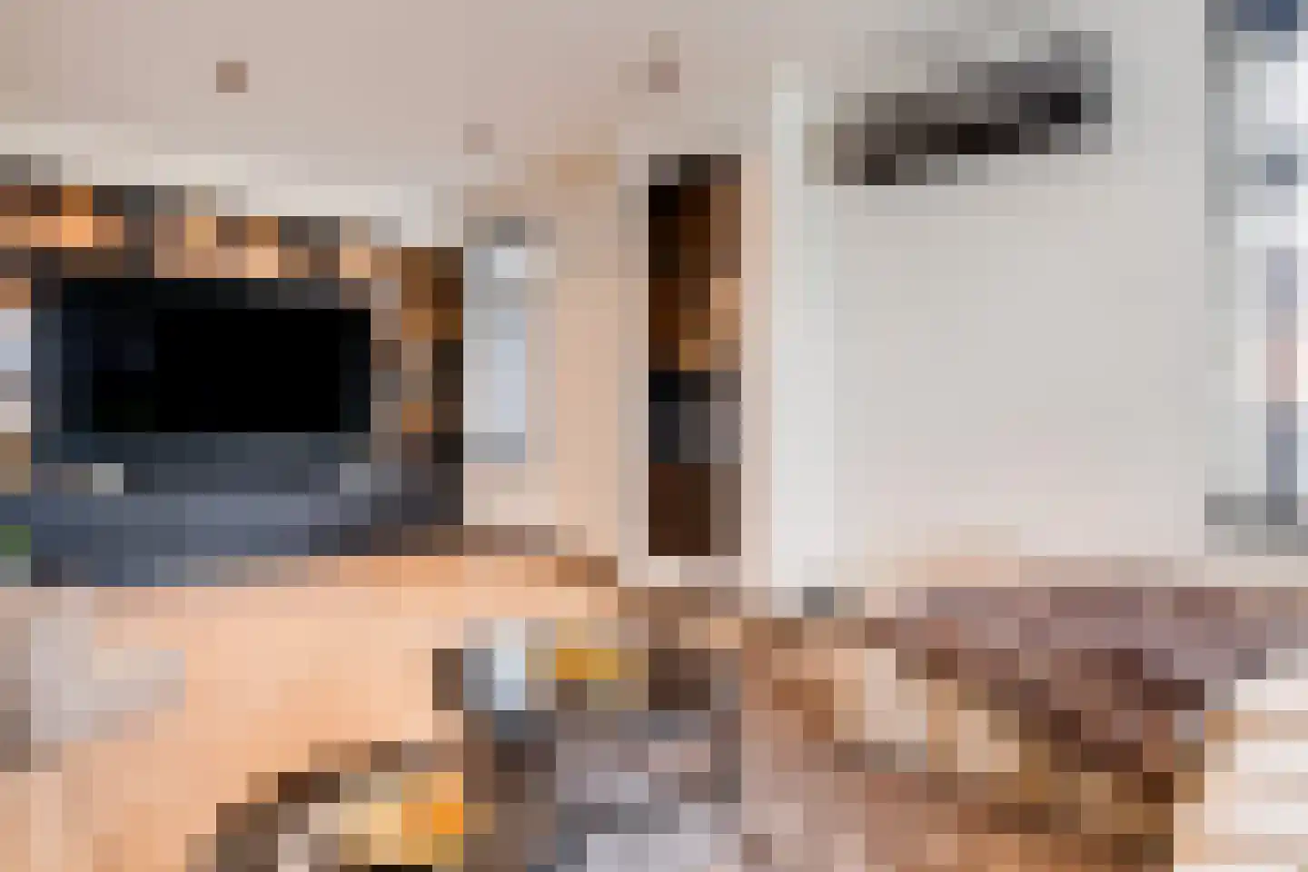 Rijksweg 2 Linne thumbnail 4
