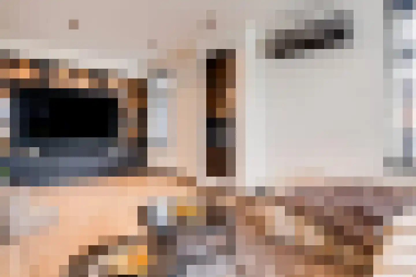 Rijksweg 2 Linne thumbnail 5
