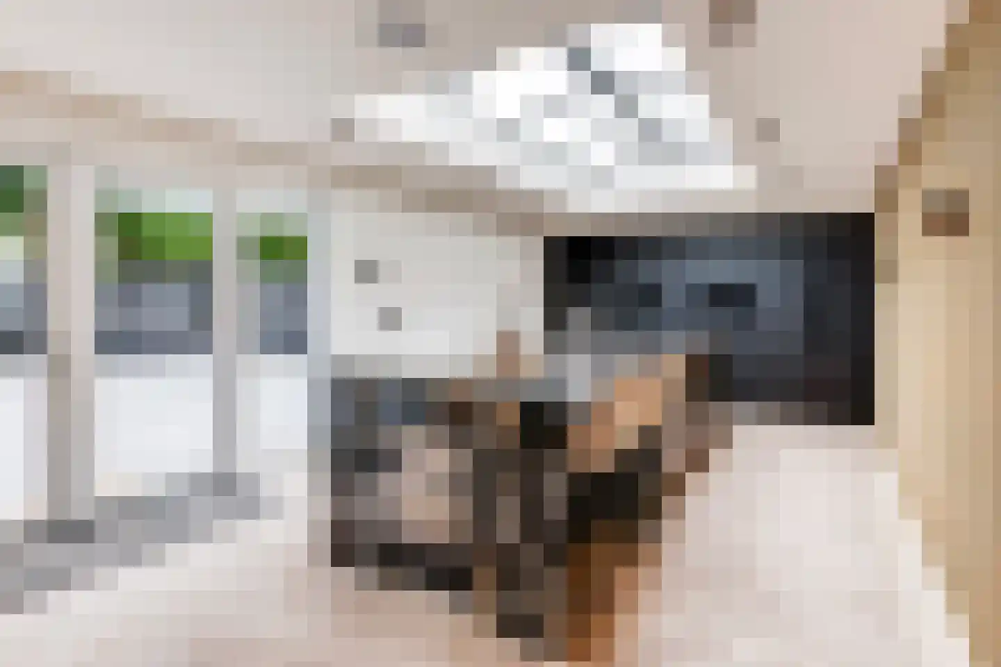 Rijksweg 2 Linne thumbnail 9