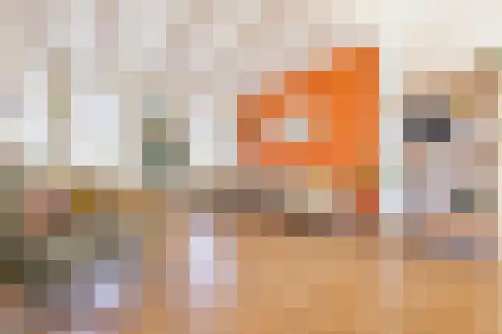 Rijksweg 2 Ten Post thumbnail 21