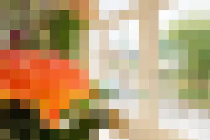 Rijksweg 2 Ten Post thumbnail 24