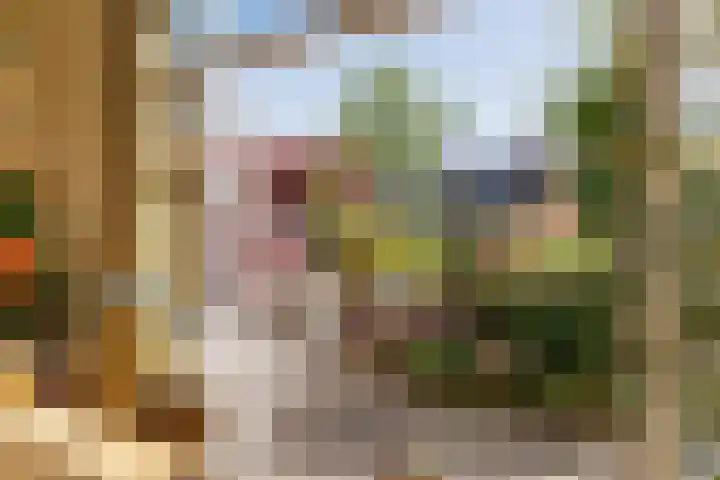 Rijksweg 2 Ten Post thumbnail 25