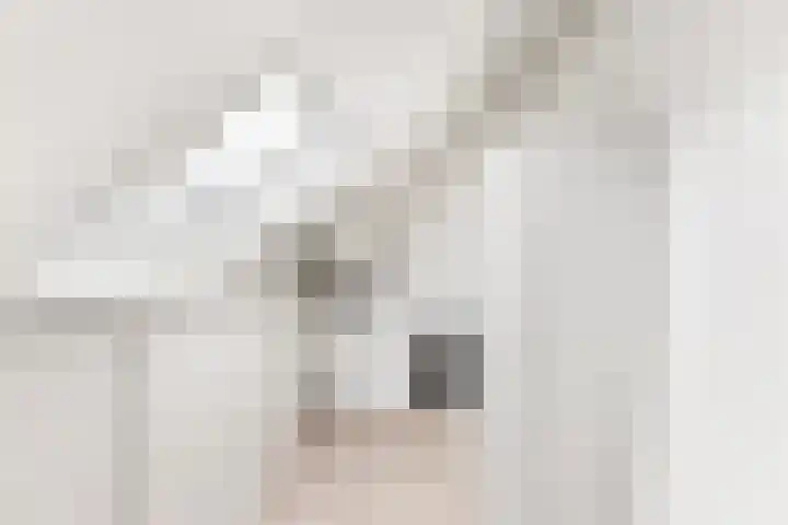 Rijksweg 2 Ten Post thumbnail 29