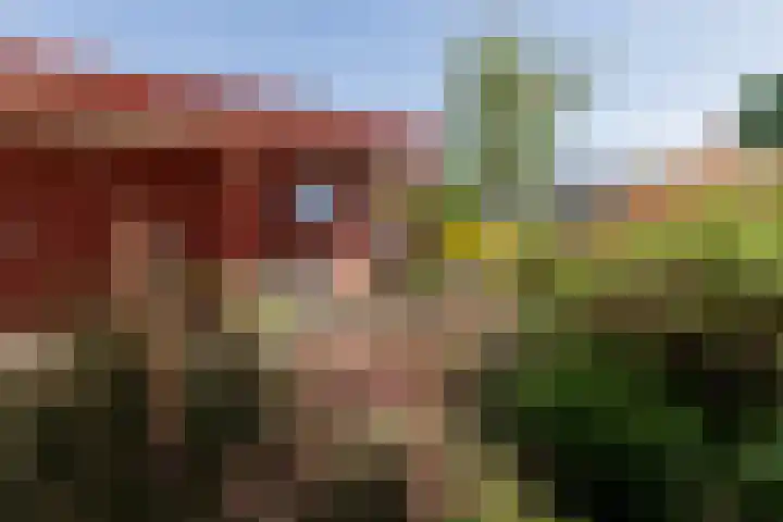Rijksweg 2 Ten Post thumbnail 29