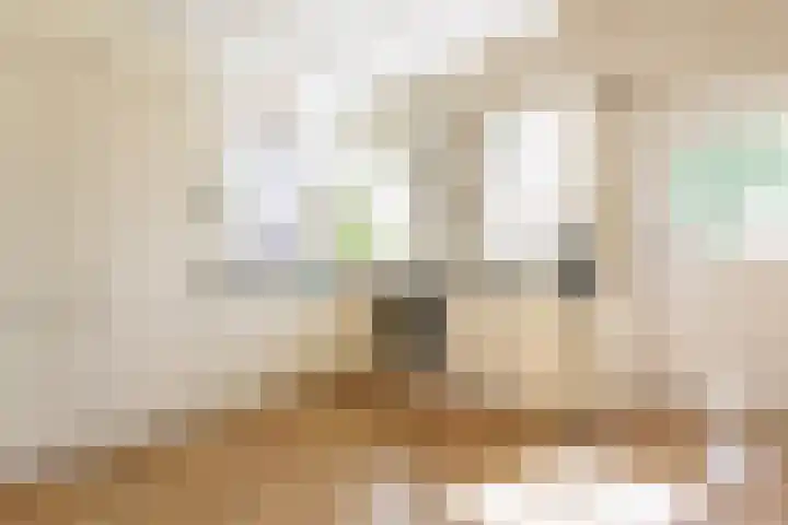 Rijksweg 2 Ten Post foto 3
