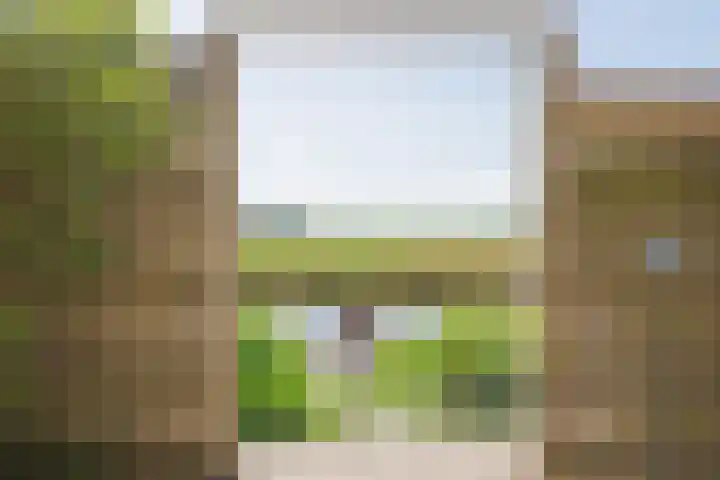 Rijksweg 2 Ten Post thumbnail 32