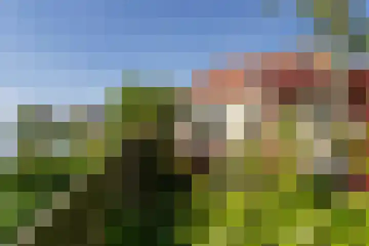 Rijksweg 2 Ten Post thumbnail 38