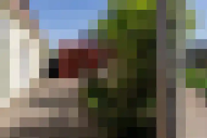 Rijksweg 2 Ten Post thumbnail 39